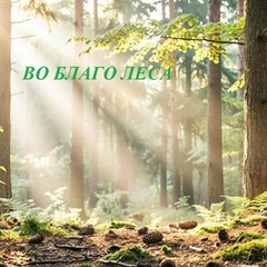 В Иркутской области впервые стартует грантовый конкурс для руководителей школьных лесничеств 