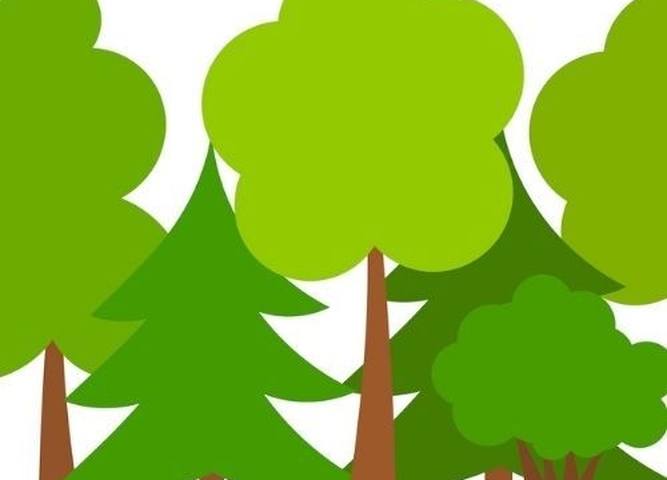Принимаются заявки на Региональный заочный конкурс «Сохраним лес живым»