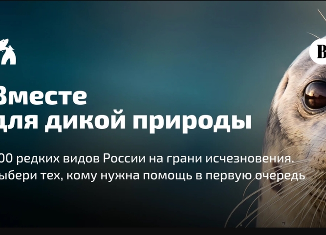 Присоединяйтесь к Всероссийской экологической инициативе «Вместе для дикой природы»