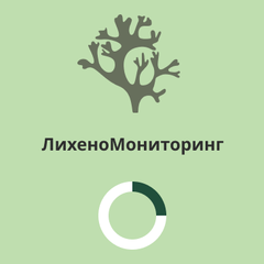 Школьники разработали уникальное приложение «Лихеномониторинг», которое помогает определить чистоту воздуха Приангарья 