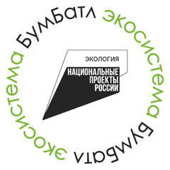 В России стартовал пятый сезон масштабной акции по сбору макулатуры «БумБатл» Движения «Экосистема»