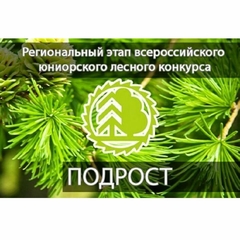 Объявлен старт регионального этапа Всероссийского юниорского лесного конкурса «Подрост»