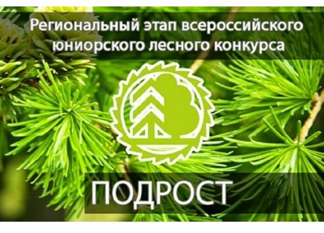 Объявлен старт регионального этапа Всероссийского юниорского лесного конкурса «Подрост»