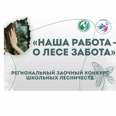 До 20 ноября принимаются работы на региональный конкурс школьных лесничеств «Наша работа – о лесе забота»